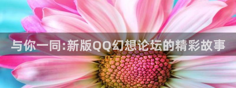 与你一同:新版QQ幻想论坛的精彩故事
